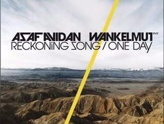 One Day / Reckoning Song (Wankelmut Remix)